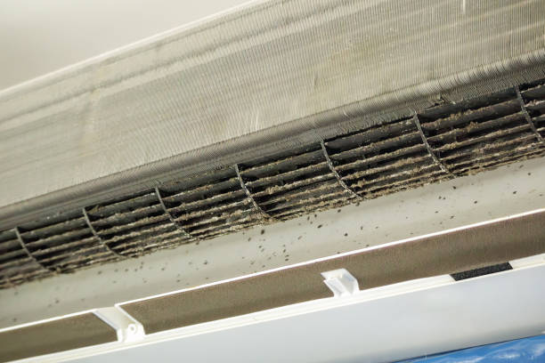 Best Affordable Duct Cleaning Services  in East Palatka, FL